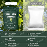Mullein Gummies Supports Respiratory Health Pear Flavor Lung Health Sinus Relief 60 Grains Dietary Supplement