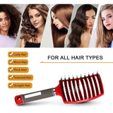 Salon Hairdressing Nylon Bristle Massage Comb for Women Wet Curly Hair Styling Tool, Suitable for Wet Hair Styling and Daily Use