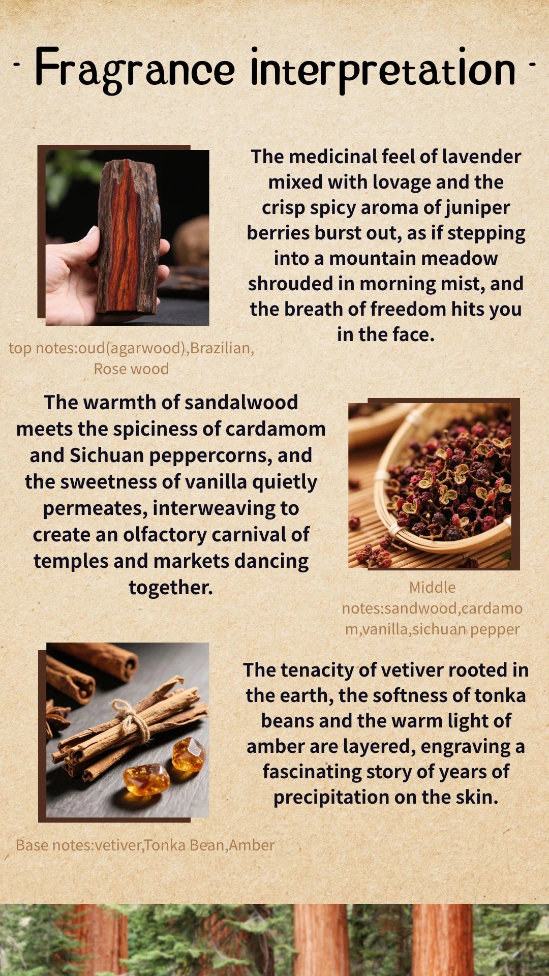 Arabian Oud Perfume Unisex Luxury Woody Spicy Long Lasting Dark Woody Unisex Fragrance - Rare Oud Sichuan Pepper Vetiver