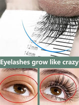 Fast Eyelash Growth Serum Natural Eyelashes Enhancer Longer Thicker Eyebrows Lift Essence Fuller Lashes Eye Care Korean Cosmetic