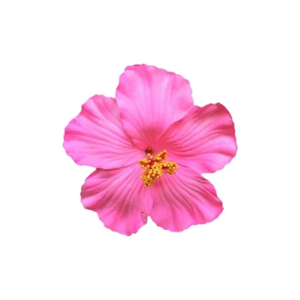 Headwear Hawaiian Flower Hair Clips Side Bangs Clip Hair Accessories Artificial Flower Clips Suitable Vacation Beach Parties