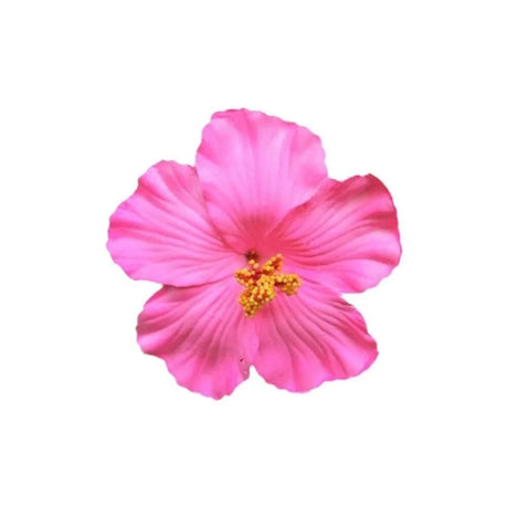 Headwear Hawaiian Flower Hair Clips Side Bangs Clip Hair Accessories Artificial Flower Clips Suitable Vacation Beach Parties