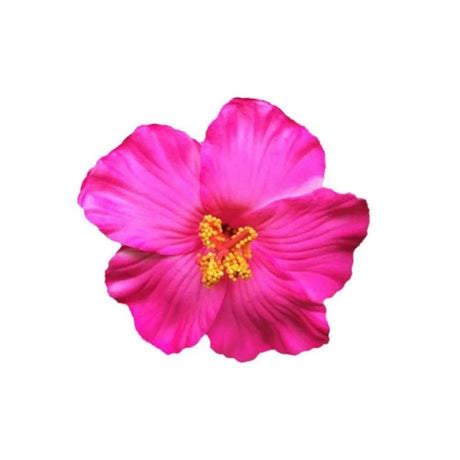 Headwear Hawaiian Flower Hair Clips Side Bangs Clip Hair Accessories Artificial Flower Clips Suitable Vacation Beach Parties
