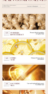 500ml Ginger Anti-Hair Loss Shampoo Long-lasting Fragrances Shampoo Deeply Moisturizing Smooth Set With Comb Gift