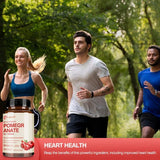 Pomegranate Extract - Antioxidant Supplement Heart Health Joint Support Brain HealthSupplements