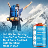 Ashwagandha Gummies - Relieve Stress, Enhance Memory, Focus, Promote Immune and Nervous System Health and Metabolism