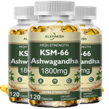 Ashwagandha Capsules Support Antioxidant Lipid-lowering Stress-relief Improve Sleep Enhance Immunity Increase Energy and Focus