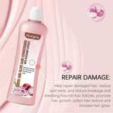 Onion Rosemary Shampoo For Hair Growth Scalp Cleanses Oil Control  Improves Hair Quality Volumizing Hair Strengthen Conditioner