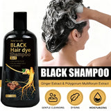 Pure Black Hair Dye Shampoo 3in1. Long Lasting Rich Color, Gray Coverage. Organic Ginger Polygonum Extracts. Gentle Effective.