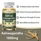 Ashwagandha Capsules Support Antioxidant Lipid-lowering Stress-relief Improve Sleep Enhance Immunity Increase Energy and Focus