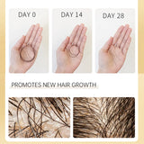 PURC 300ML Biotin Hair Shampoo Scalp Cleaning Nourishing Strengthen Roots Shampoos Hair Care Products for All Hair Types
