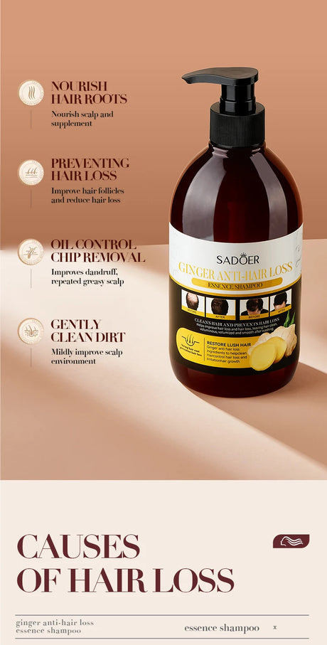 500ml Ginger Anti-Hair Loss Shampoo Long-lasting Fragrances Shampoo Deeply Moisturizing Smooth Set With Comb Gift