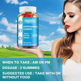 Ashwagandha Gummies - Relieve Stress, Enhance Memory, Focus, Promote Immune and Nervous System Health and Metabolism
