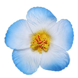 Headwear Hawaiian Flower Hair Clips Side Bangs Clip Hair Accessories Artificial Flower Clips Suitable Vacation Beach Parties