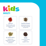 Mood Snacks - Kids Saffron Gummies, Natural Berries Supplements Offer Mood Support and Calms Temper Tantrums, Sugar Free Gummies