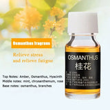 1/7PCS Air Freshener Car Perfume Refill Natural Plant Essential Oil Aroma Diffuser Fragrance Humidifier Essential Oil Freshener