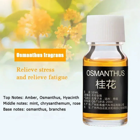 1/7PCS Air Freshener Car Perfume Refill Natural Plant Essential Oil Aroma Diffuser Fragrance Humidifier Essential Oil Freshener