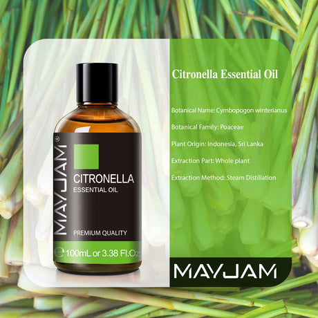 Mayjam Essential Oil 100ml Citronella Cinnamon Cedarwood Vetiver Cajeput Fennel Sage Aromatherapy Oil for Diffuser Humidifier