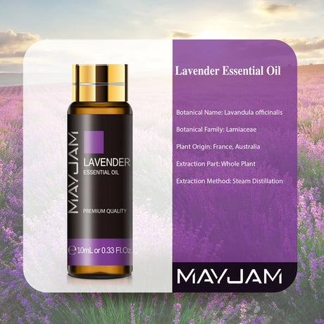 10ML Lavender Eucalyptus Pure Essential Oils Rose Lemon Jasmine Vanilla Mint Sandalwood Bergamot Tea Tree Diffuser Aroma Oil