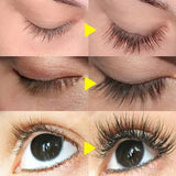 2 In 1 Eyelash Eyebrow Growth Serum Fast Lash & Brow Enhancer Fuller Looking Brows Longer Lashes Daily Care Formula Lash Booster