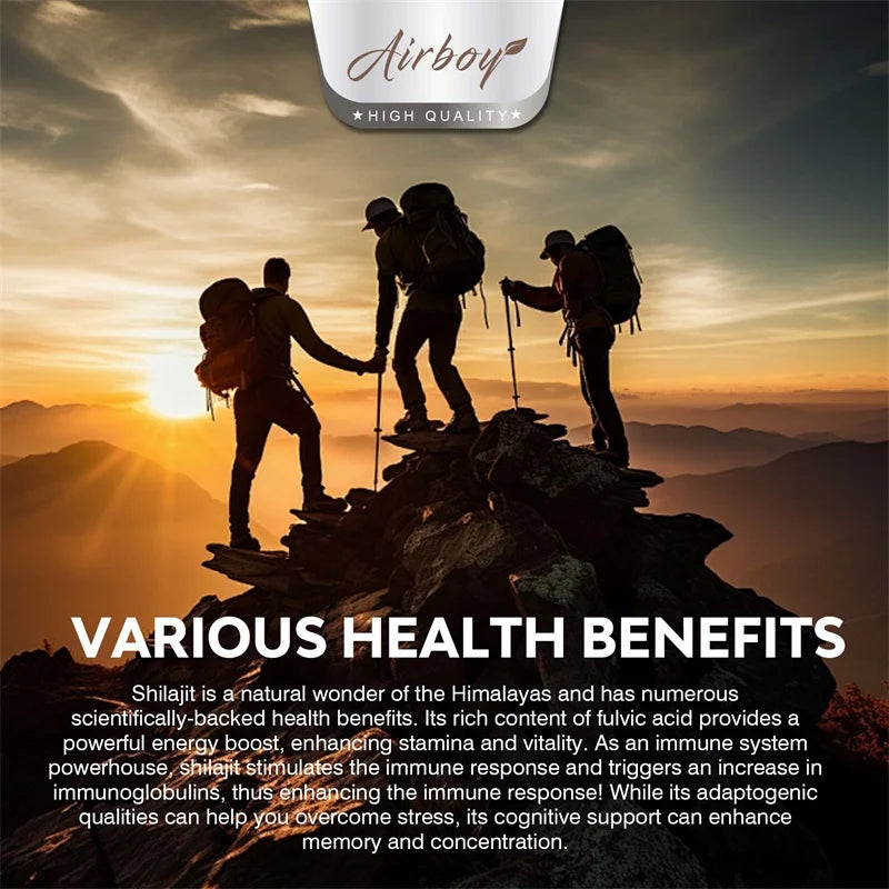 Shilajit - Natural Energizer To Rejuvenate The Body, Improve Mental Clarity and Boost The Immune System