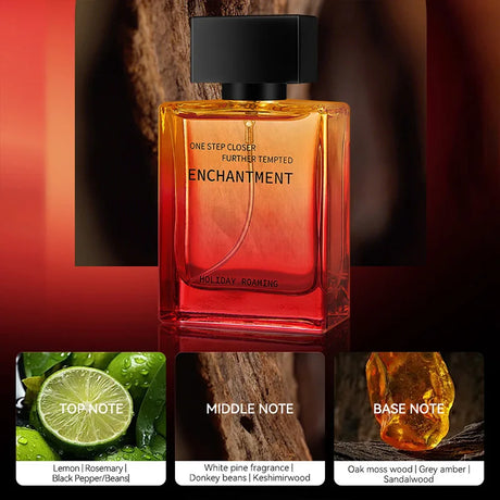 Tipsy Woody Men Perfume Long Lasting 72H Fresh Eau De Toilette 50ml Masculine Woody Niche Luxury Daily Wear