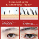 Eyelash & Eyebrow Growth Serum – Prevents breakage, delivers fuller results in 7 days, ideal for daily eye care.