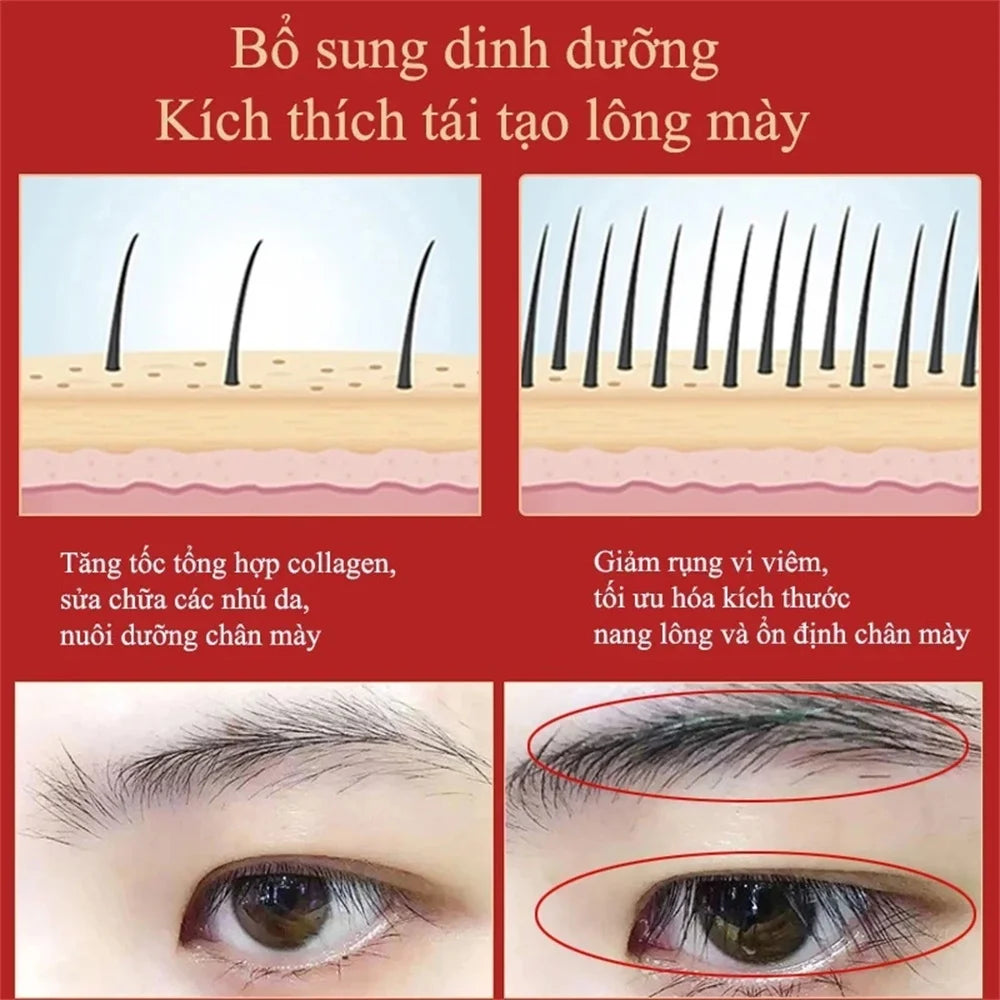 Eyelash & Eyebrow Growth Serum – Prevents breakage, delivers fuller results in 7 days, ideal for daily eye care.