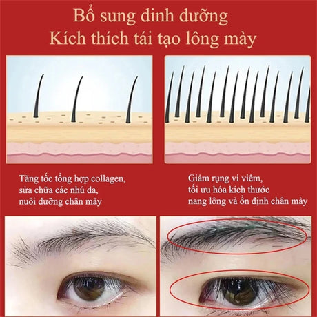 Eyelash & Eyebrow Growth Serum – Prevents breakage, delivers fuller results in 7 days, ideal for daily eye care.