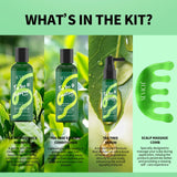 Tea Tree Essence Shampoo Hair Conditioner Set Deep Cleaning Moisturizing Scalp Strengthening Nourish Shiny Anti Hair Loss Care