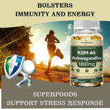 Ashwagandha Capsules Support Antioxidant Lipid-lowering Stress-relief Improve Sleep Enhance Immunity Increase Energy and Focus