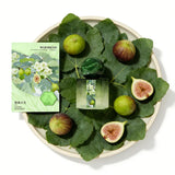 Fig Fruity Floral Perfume Spray,Women Clean Fresh Scent,Vanilla/Cedar/Musk/Citrus/Grapefruit/Lavender/Lily Light Fragrance Mist