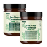 Sea Moss Gummies 16-in-1 Ashwagandha Black Seed Oil Bladder Wrack Turmeric Vitamin C D3 with Manuka Burdock Root Dandelion Apple