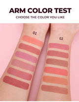 Long Wear Blush Makeup Palette Buildable Color Velvet Finish Face Powder Cheek Contouring Brightening