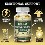 Ashwagandha Capsules Support Antioxidant Lipid-lowering Stress-relief Improve Sleep Enhance Immunity Increase Energy and Focus