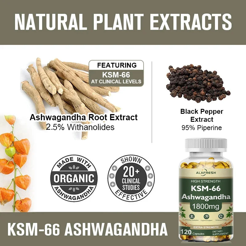 Ashwagandha Capsules Support Antioxidant Lipid-lowering Stress-relief Improve Sleep Enhance Immunity Increase Energy and Focus