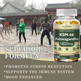Ashwagandha Capsules Support Antioxidant Lipid-lowering Stress-relief Improve Sleep Enhance Immunity Increase Energy and Focus