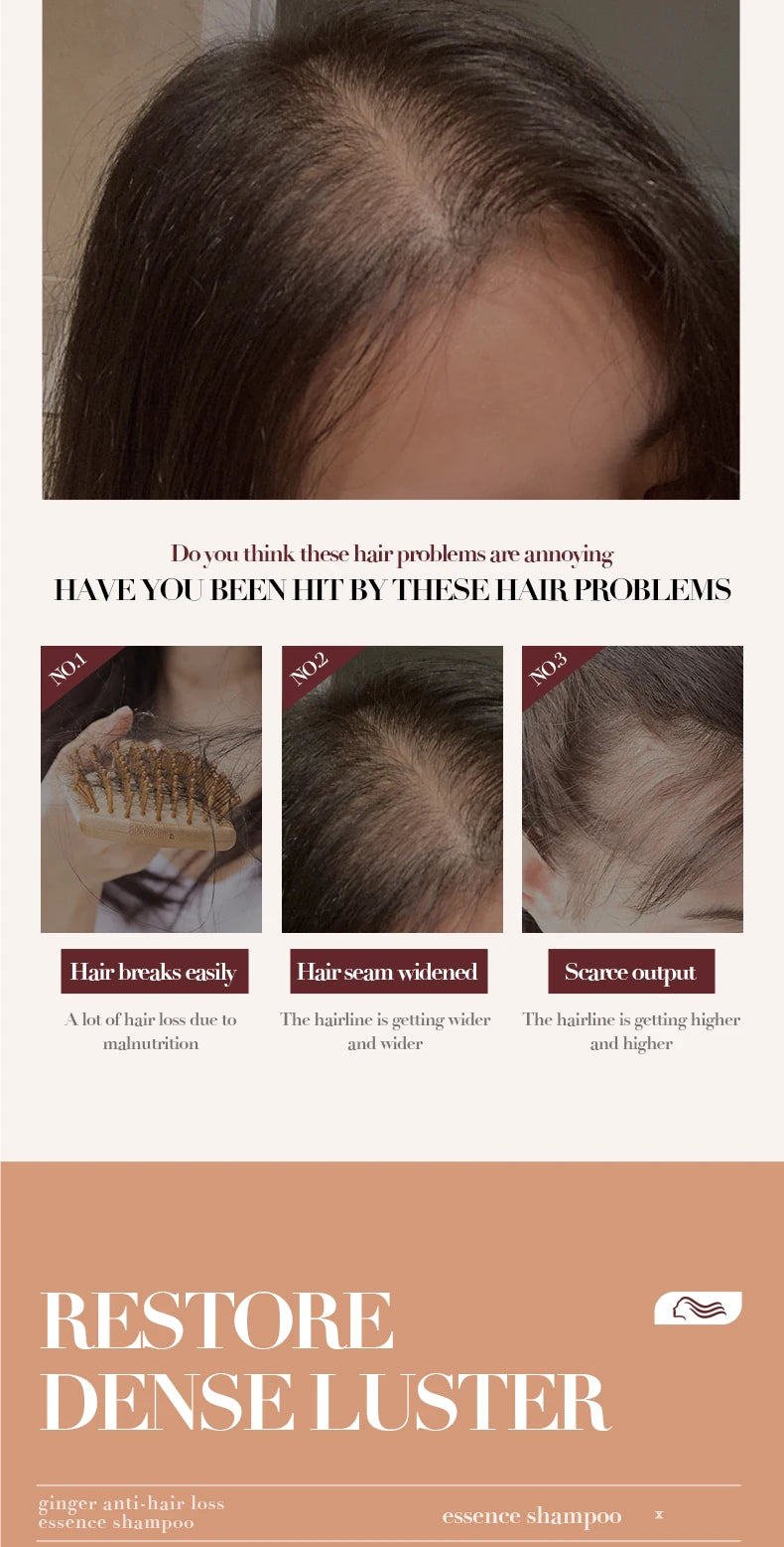 500ml Ginger Anti-Hair Loss Shampoo Long-lasting Fragrances Shampoo Deeply Moisturizing Smooth Set With Comb Gift