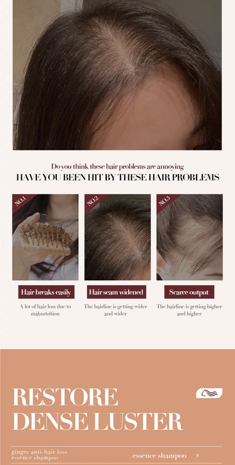 500ml Ginger Anti-Hair Loss Shampoo Long-lasting Fragrances Shampoo Deeply Moisturizing Smooth Set With Comb Gift