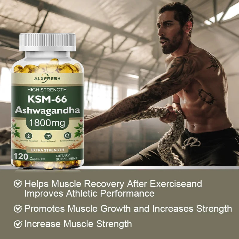 Ashwagandha Capsules Support Antioxidant Lipid-lowering Stress-relief Improve Sleep Enhance Immunity Increase Energy and Focus