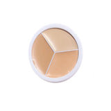 Shezi Good Price Facial Body Sunscreen Whitening SPF30 Concealer Highlight Base Makeup Set Sunscreen Kit Cosmetics