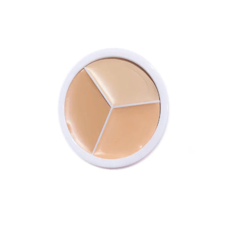 Shezi Good Price Facial Body Sunscreen Whitening SPF30 Concealer Highlight Base Makeup Set Sunscreen Kit Cosmetics