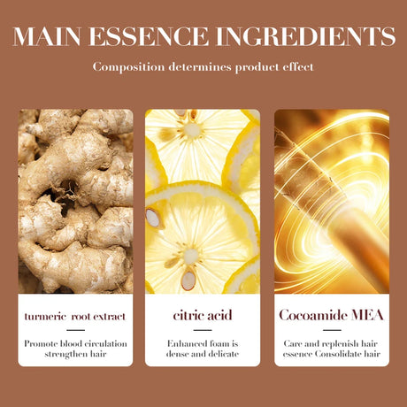 500ml Ginger Anti-Hair Loss Shampoo Long-lasting Fragrances Shampoo Deeply Moisturizing Smooth Set With Comb Gift
