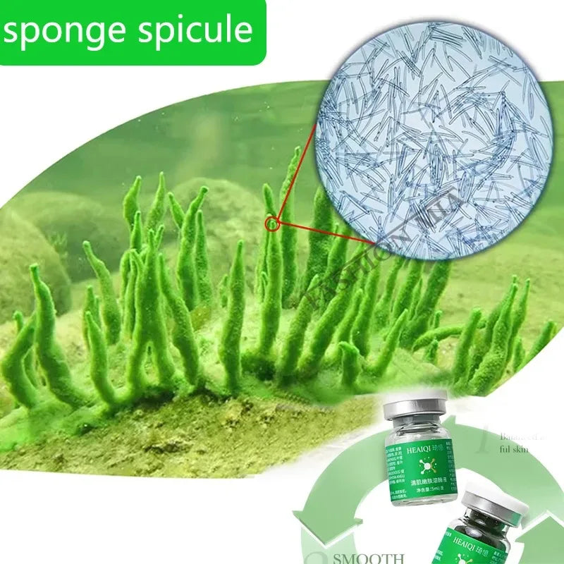 10pcs Sponge Microcrystal Freeze-dried Powder Collagen Regeneration Natural Biological Extract Sponge Spicules Skin Cell Renew