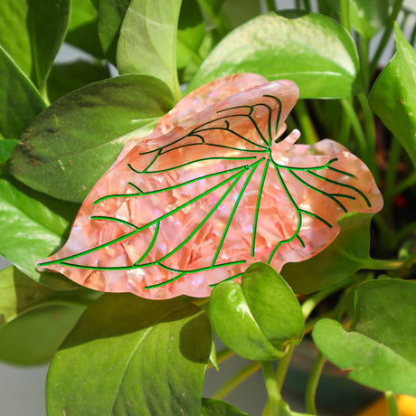 2025 NEW Original Plant Series Leaves Hair Claw Acetate Claw Clips Summer Trendy Hair Clips INS Hair Accessories for Women Girls
