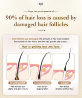 PURC Hair Shampoo Conditioner Hair Growth Oil Sets Smoothing Hair Loss Treatment Repair Damamged Nourish Hair Care Products