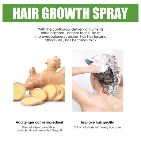 Ginger Hair Growth Oil Dense Regrowth Prevent Baldness Repair Dry Frizzy Damage Hair Roots Nourish Massage Scalp Treatment Serum