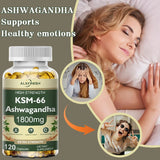 Ashwagandha Capsules Support Antioxidant Lipid-lowering Stress-relief Improve Sleep Enhance Immunity Increase Energy and Focus