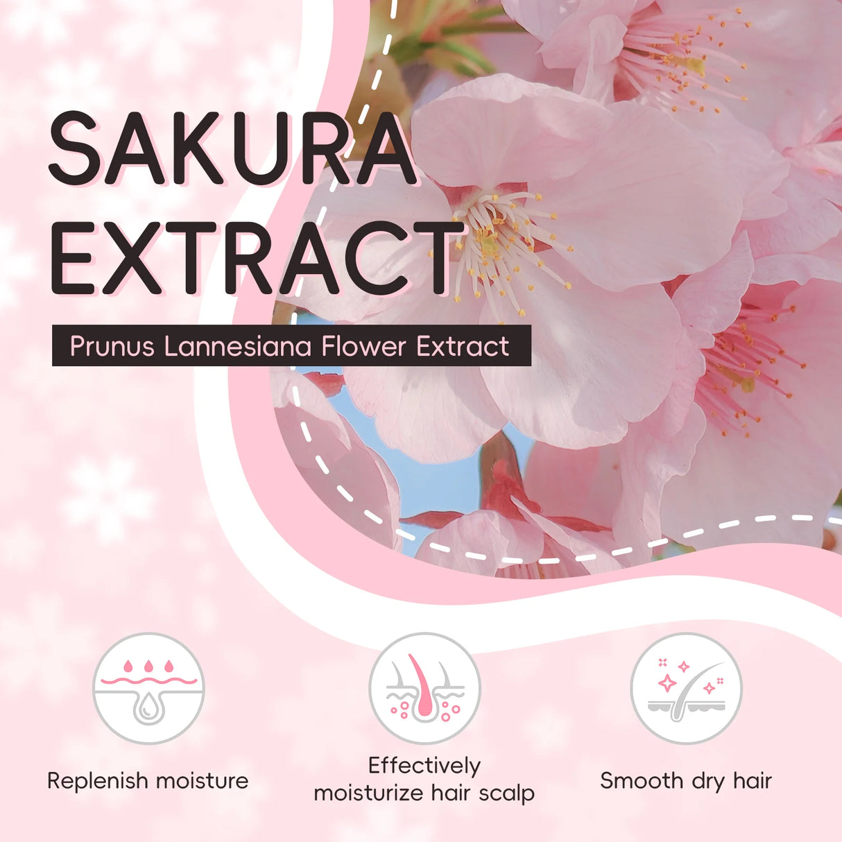 LAIKOU Japan Sakura Shampoo Repair Anti Split Ends Smooth Frizz Dry Hair
