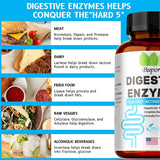 Digestive Enzymes Supplement - Digestion and Intestinal Health for Adults Men and Women, Promotes Nutrient Absorption
